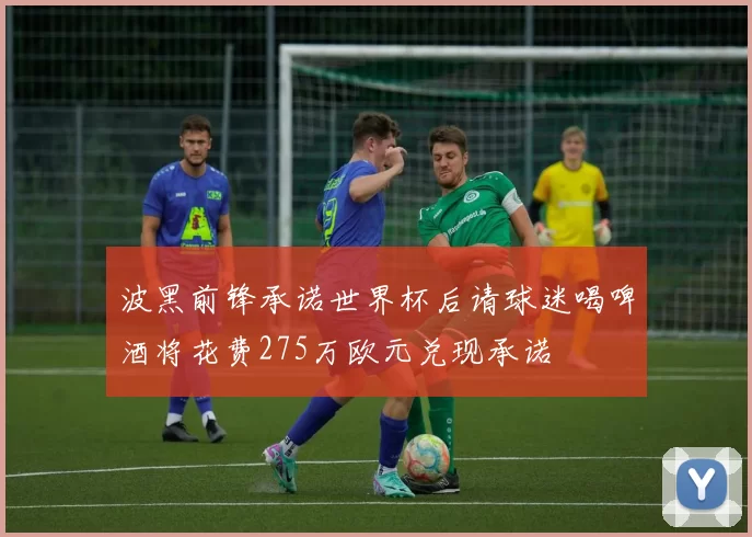 波黑前锋承诺世界杯后请球迷喝啤酒将花费275万欧元兑现承诺